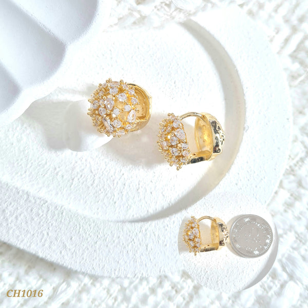 Candonga balin en zircones CH1016